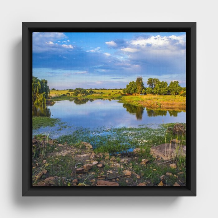 South Africa Photography - A Pond Surrounded By Yellow Fields Framed Canvas
