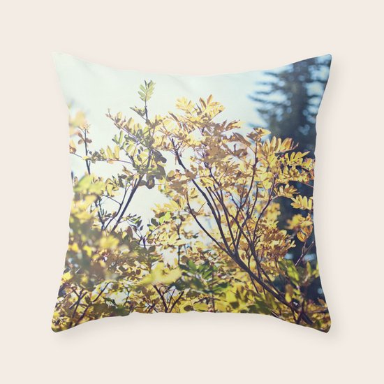 Fall Sun Throw Pillow