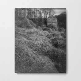 Witches Cottage Metal Print | Overgrown, Forest, Cottage, Nature, Tree, Black, Photo, Woods, Fairytale, Newengland 