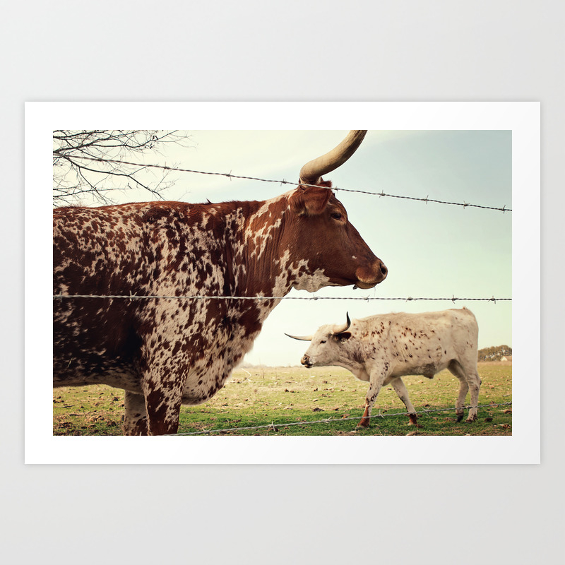 Texas Longhorn Cattle Art Print By Pmistric Society6