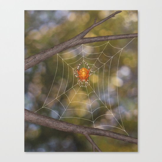 marbled orb weaver on a web Canvas Print