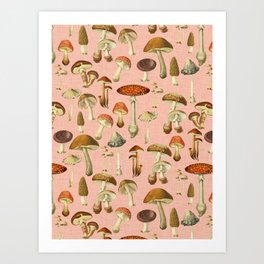 Mushrooms pink Art Print