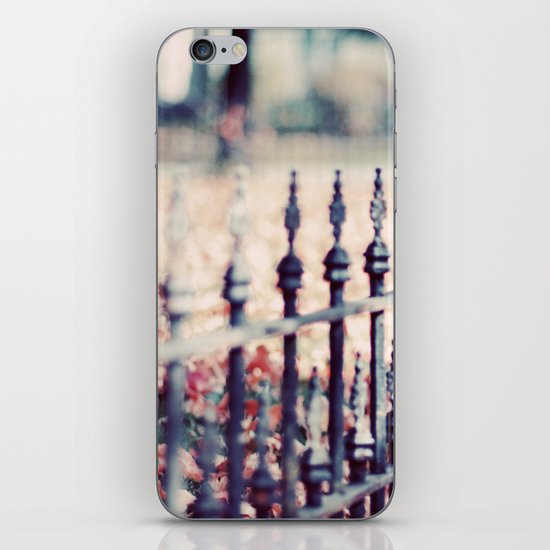 Autumn Fence iPhone & iPod Skin