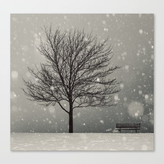 January Snow Canvas Print