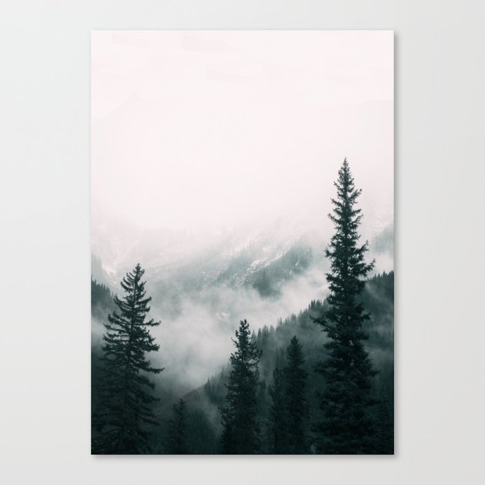 Forest mist beneath the mountain peaks Canvas Print