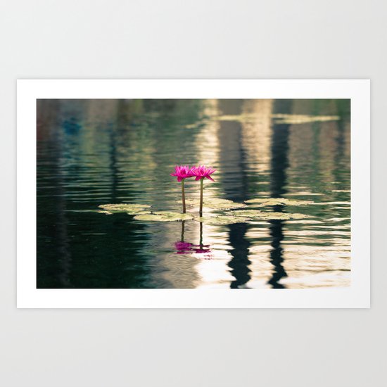 Water Lily 1 Art Print