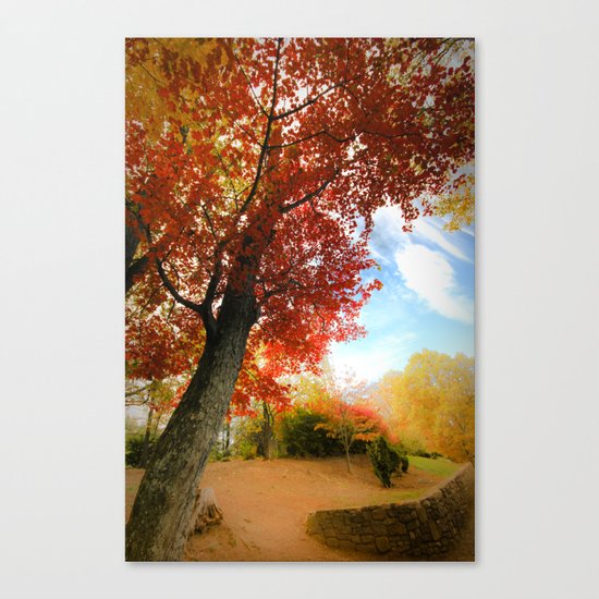 Autumn Tree Scene Canvas Print