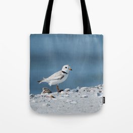 Avian - Piping Plover Adult 1 Tote Bag