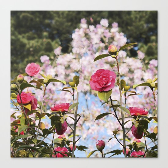 Up and coming Canvas Print
