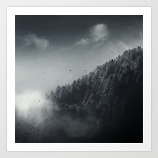 Misty Woodlands Art Print