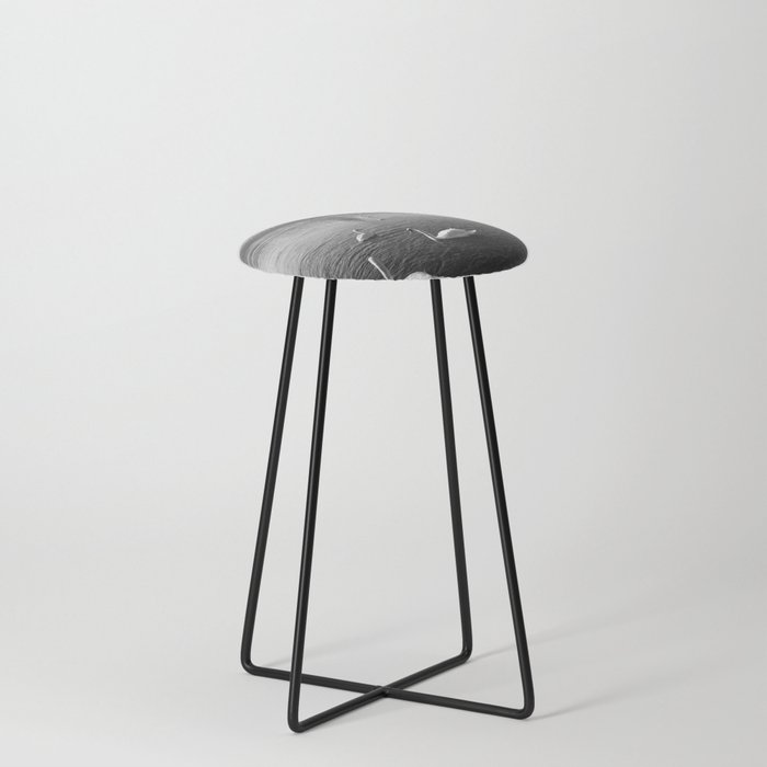 Lyon | Beautiful City in France | Black and White Photography  Counter Stool
