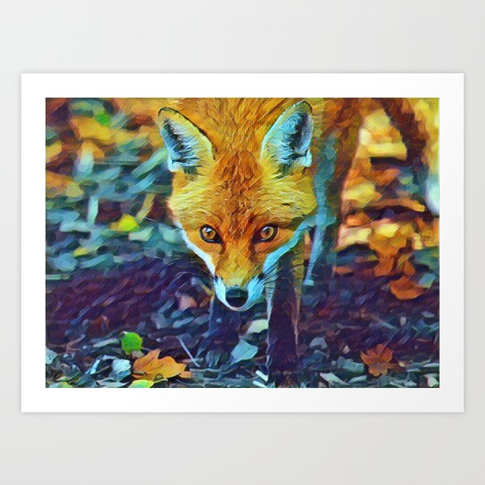 Fox Glare Close Up In Slumber Art Print