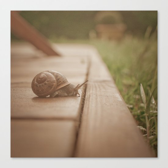 Snail Garden 2 Canvas Print