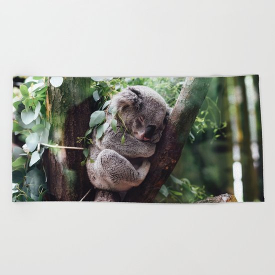 Cute Koala relaxing in a Tree Beach Towel