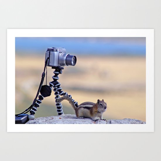 Cheeky Canadian Chipmunk Art Print