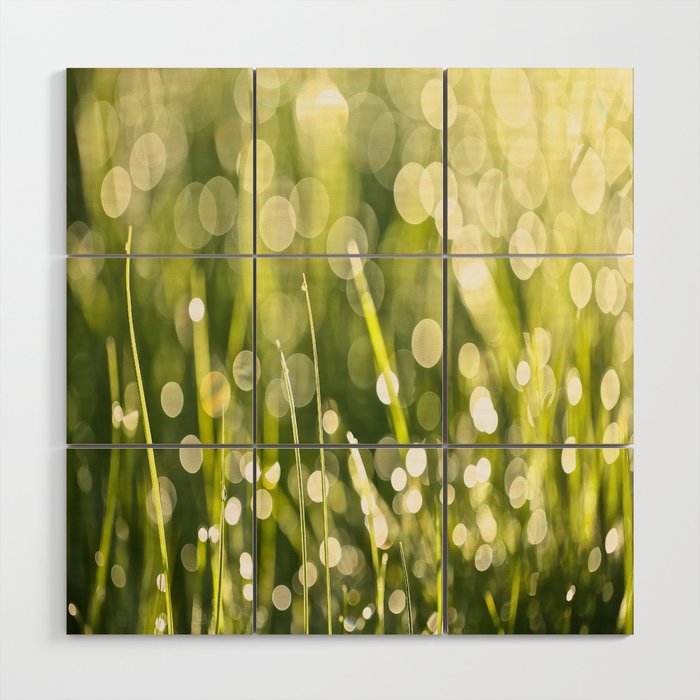 Beautiful Morning Dew On A Green Grass Decor Society6 Buyart