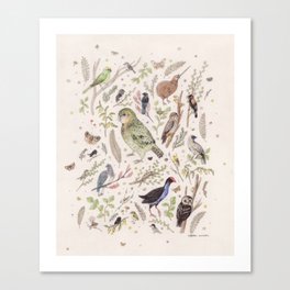 New Zealand Birds Canvas Print