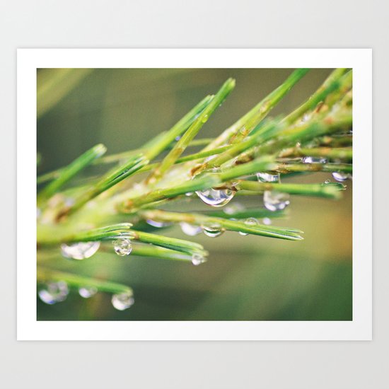 Summer Rain Art Print