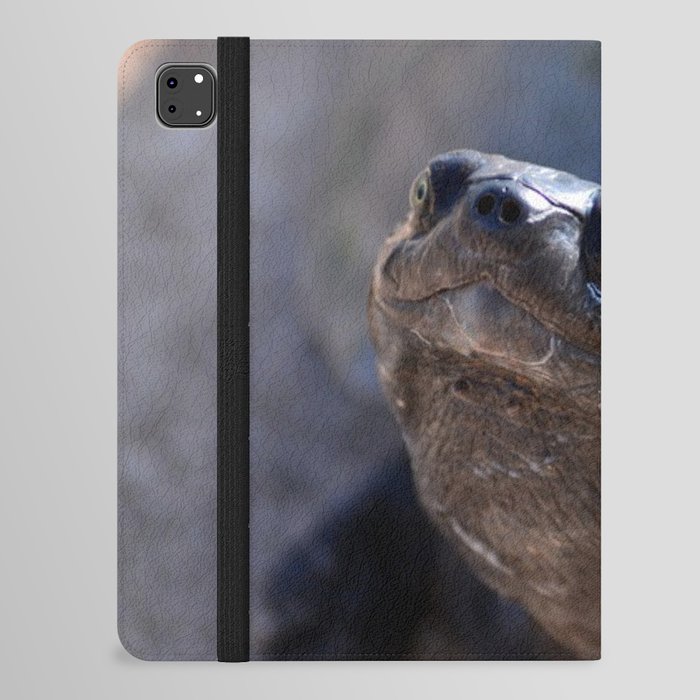 South Africa Photography - Beautiful Tortoise iPad Folio Case