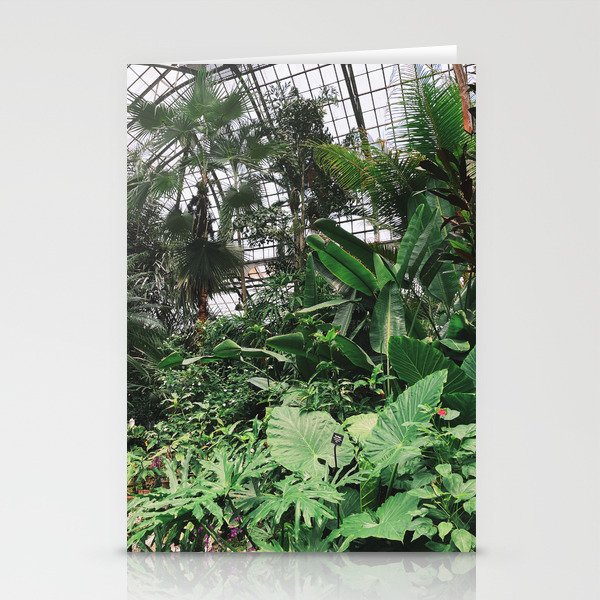Indoor Jungle Stationery Cards