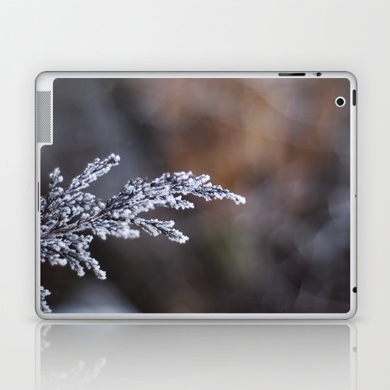 Frosted Juniper Laptop & iPad Skin