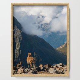 Little goats’ family in French Alps Serving Tray