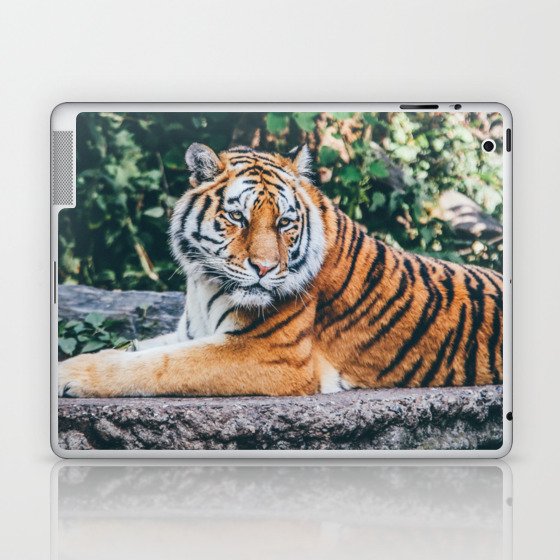 Majestic Tiger Sitting On A Rock Photography Laptop & iPad Skin