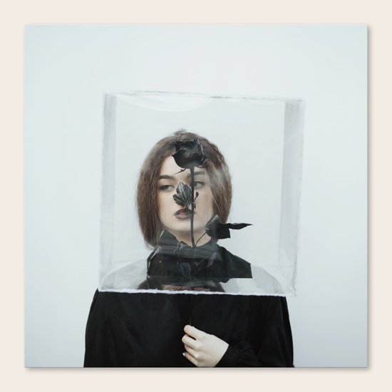 Box Canvas Print