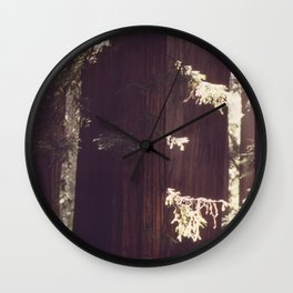A STAND OF REDWOOD TREES IN RICHARDSON GROVE PARK ALONG ROUTE 101 NARA 542922 Wall Clock