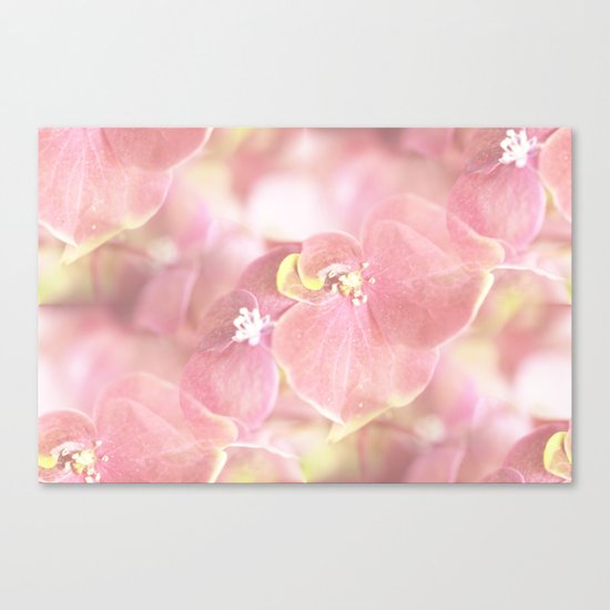 Some Soft Pink Flowers Canvas Print