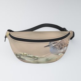 Snowy Plover Fanny Pack