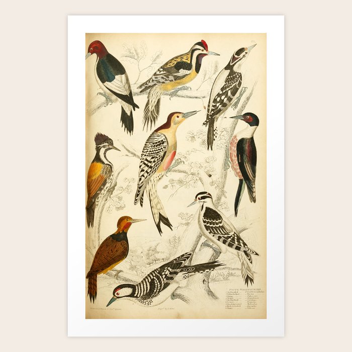 Art Print