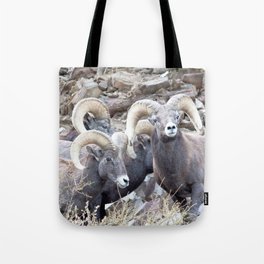 Watercolor Sheep, Bighorn Ram 15, Drake, Colorado Tote Bag
