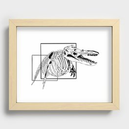 Orca Skeleton Recessed Framed Print