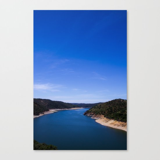 the river Canvas Print