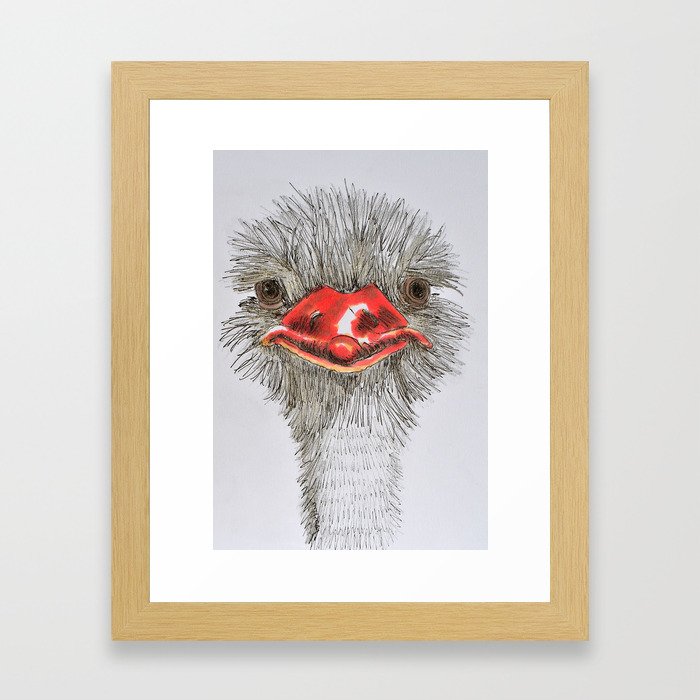 Ostrich Framed Art Print