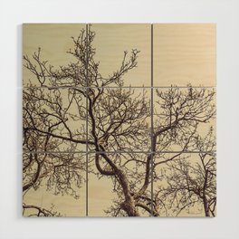 Entwined Wood Wall Art