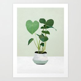 Plant 3 Art Print