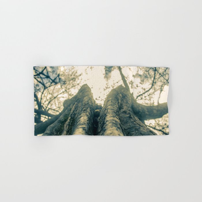 Up in the Trees Hand & Bath Towel