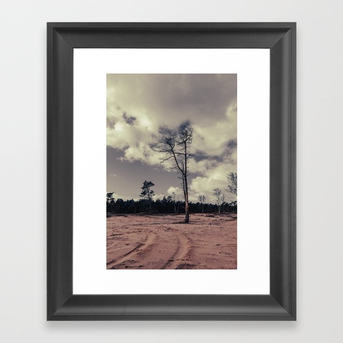 Lonely pinetree Framed Art Print