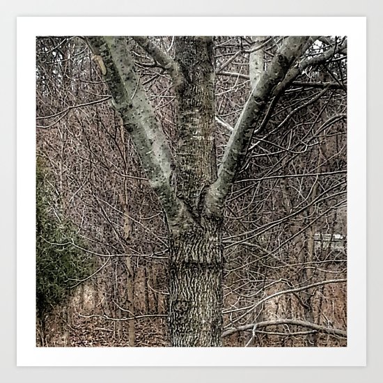 "Tree Hugs" Art Print