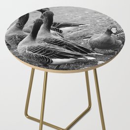 Greylag geese in the park | Black and white Photography Side Table