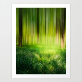 Dreamy Forest Scene Art Print