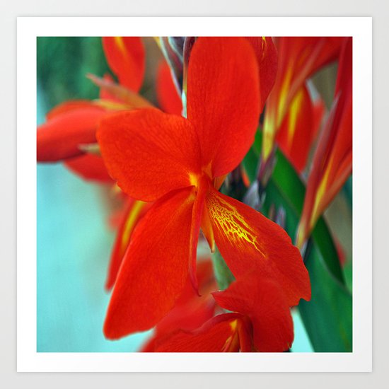 flower nature # ### # Art Print
