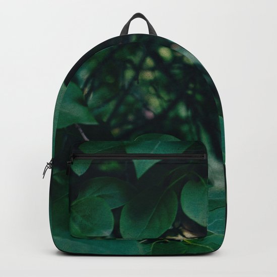 Into the wild Backpack