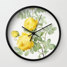 Vintage Rosa Hemisphaerica Flower Illustration Wall Clock | Rosaraphinii, Sulphurrose, Vintage, Poster, Rosahemisphaerica, Yellowflower, Yellowrose, Flower, Printable, Artprint 
