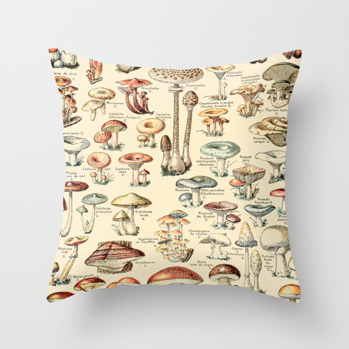 Xl throw sales pillows