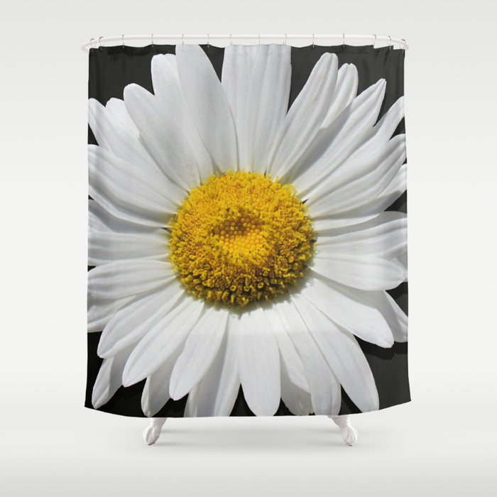 Contemporary White Daisy on Grey Pop Of Yellow Art A490 Shower Curtain