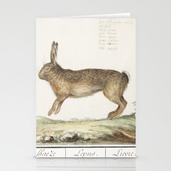 Hare, Lepus Europaeus Stationery Cards