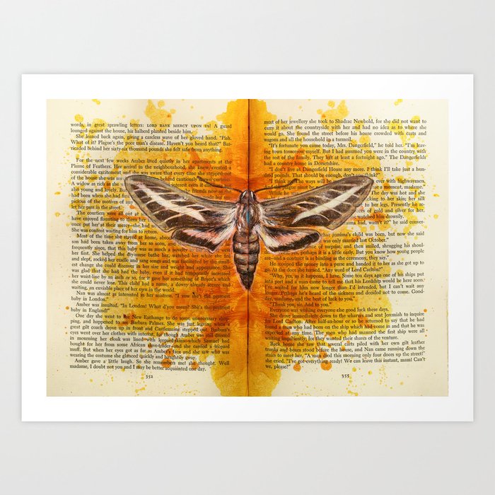 Striped Hawk Moth Art Print